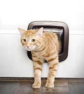 Chatière à puce électronique – Accessoires pour chat